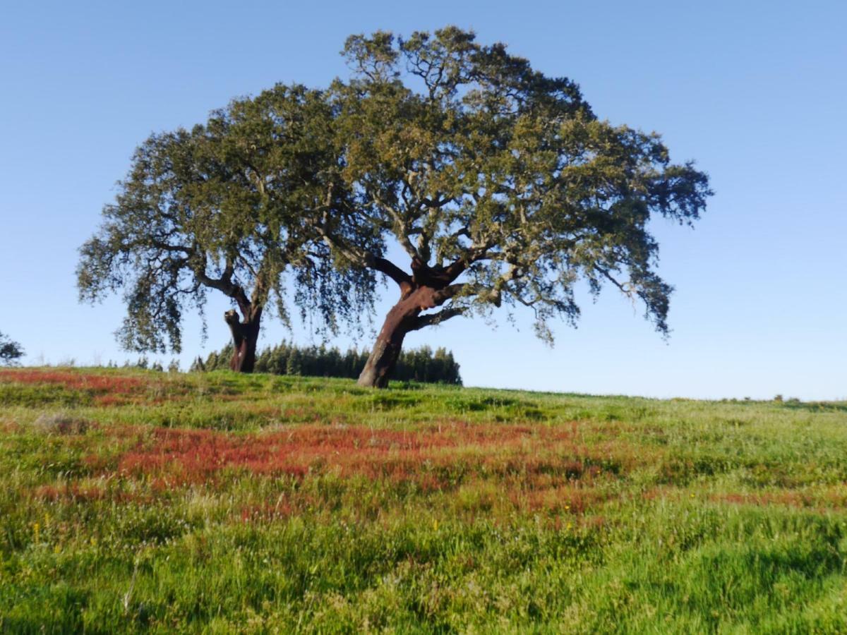 Boavista dos Pinheiros Rural Houseヴィラ エクステリア 写真